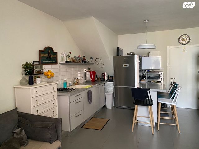 שלמה מולכו 9