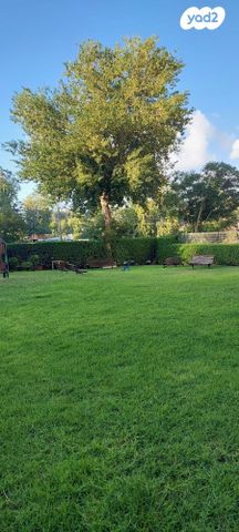 דירה, הנשיא 55, רמת הדקלים, גבעת שמואל