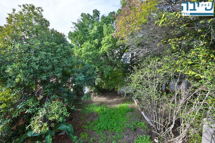 שושנת העמקים 