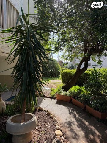 דירה, דרך הים, כרמל מערבי, חיפה