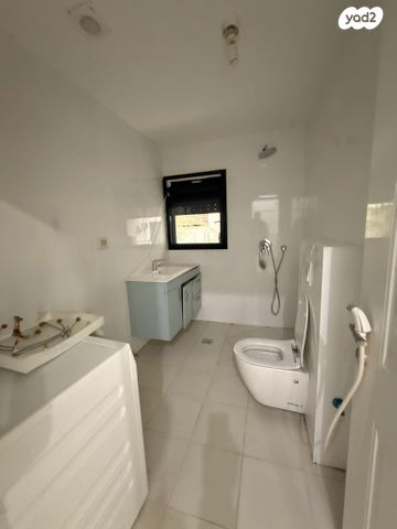 דירה, ארלוזורוב, הצפון הישן - צפון, תל אביב יפו