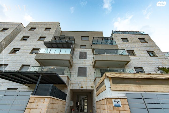 דירה, השחף, החותרים, טירת כרמל