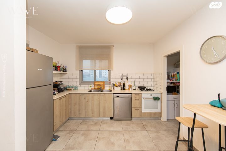 דירה, השחף, החותרים, טירת כרמל