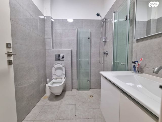 דירה, ז'בוטינסקי, בן גוריון, אזור