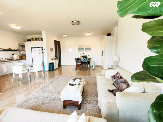 דירה, ערבי נחל, צופים, צופים