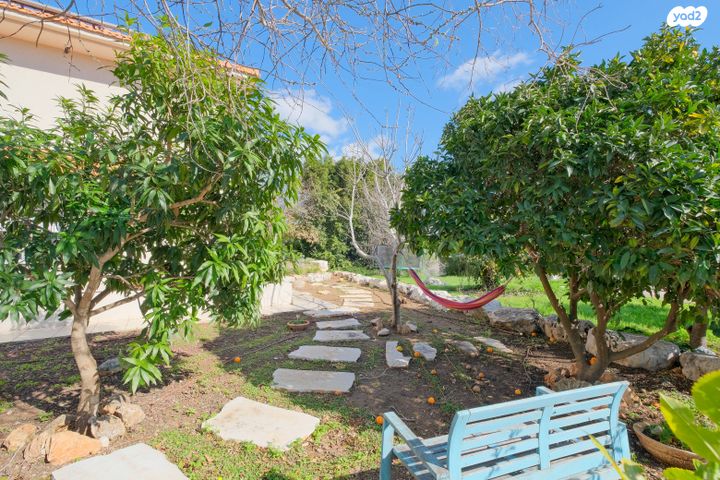 בית פרטי/ קוטג', צורית