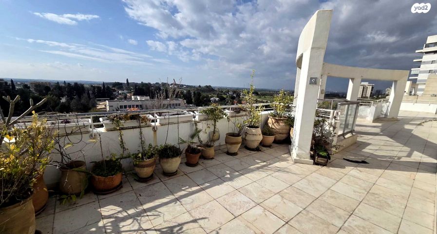 גג/ פנטהאוז, יוסף קרוננברג, רחובות החדשה, רחובות