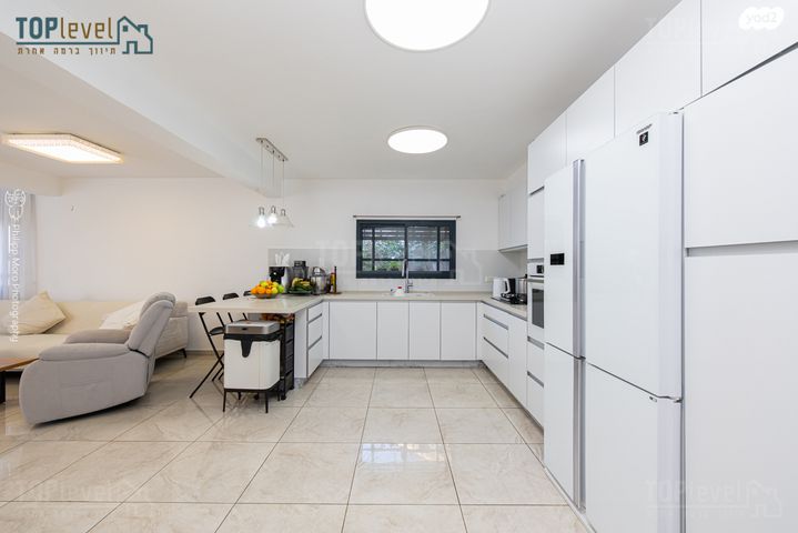 דירה, הרב זרביב, רמב"ם, טירת כרמל