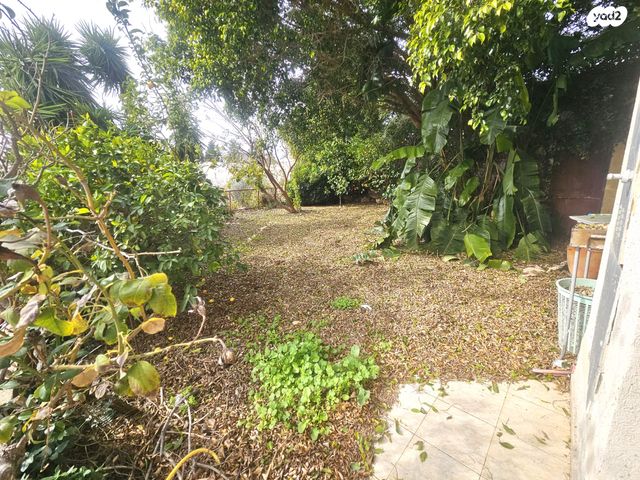 דירת גן, הדקל, שגיא, כרמיאל