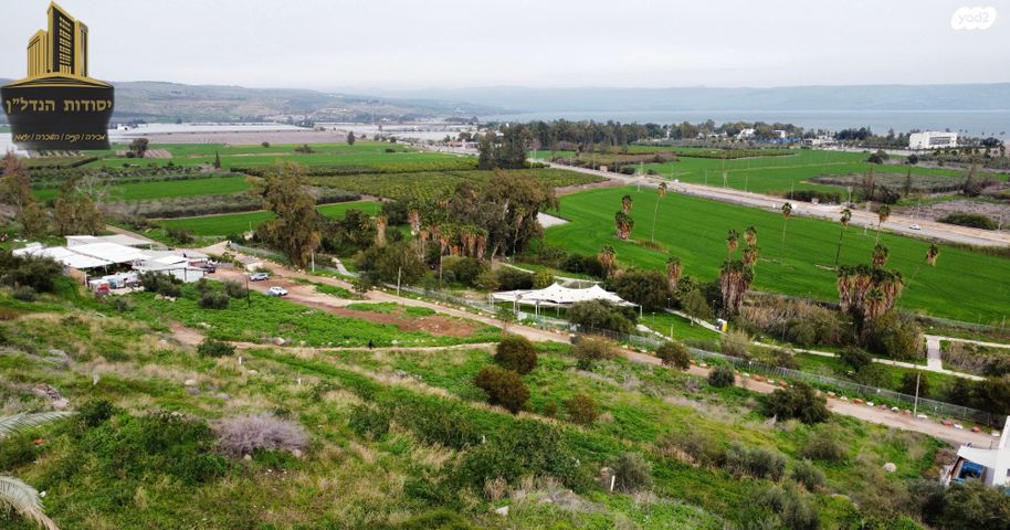 מגרשים, נוף הארבל 1, מגדל, מגדל