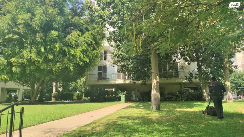 פישמן מיימון 