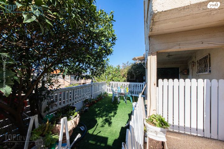 דירה, הרב זרביב, רמב"ם, טירת כרמל