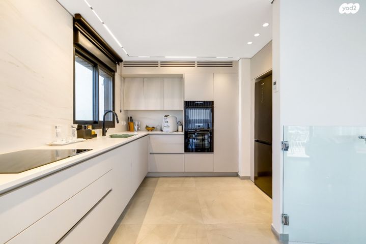 דופלקס, אברמוביץ', ראשון לציון