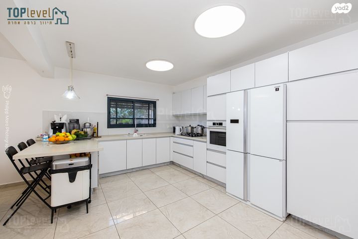 דירה, הרב זרביב, רמב"ם, טירת כרמל