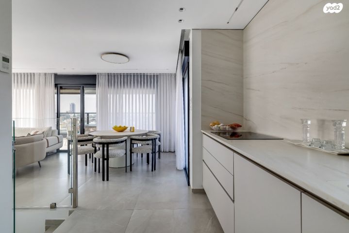 דופלקס, אברמוביץ', ראשון לציון