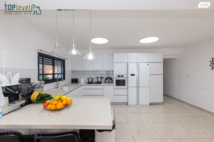 דירה, הרב זרביב, רמב"ם, טירת כרמל