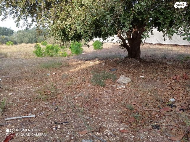 בית פרטי/ קוטג'