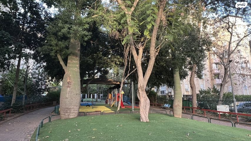 דירה, אברבנאל, רמב"ם, ראשון לציון