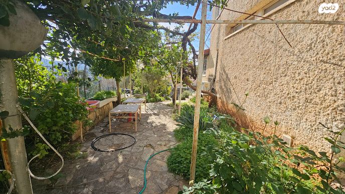 בית פרטי/ קוטג', איריס, דדו, מעלות תרשיחא