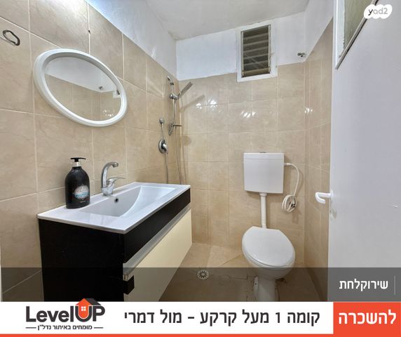 דירה, טיילת הספורט, מלכי ישראל, דימונה