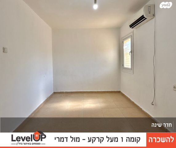 דירה, טיילת הספורט, מלכי ישראל, דימונה