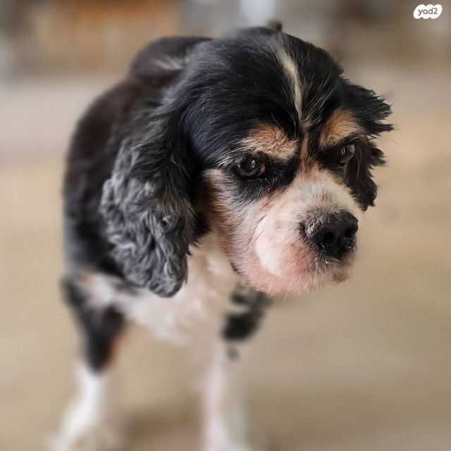 דירה, אריק איינשטיין 1, קרית רבין, חולון