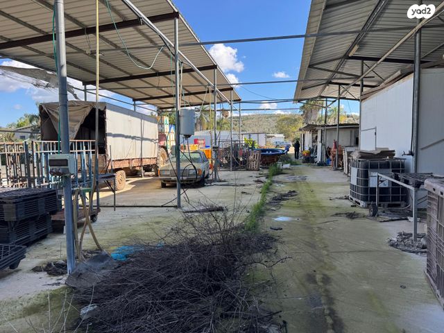 משק חקלאי/ נחלה, אמת המים, ציפורי