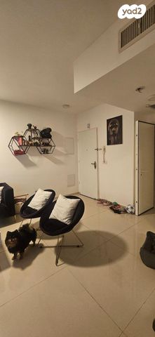 דירה, המאפיה, מרכז העיר, אילת