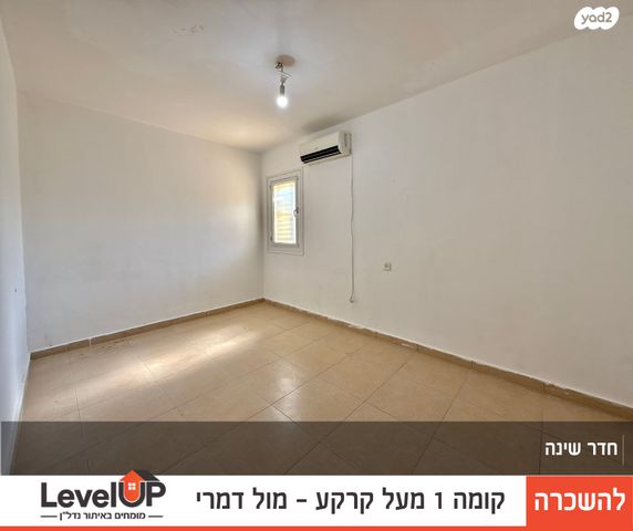 דירה, טיילת הספורט, מלכי ישראל, דימונה