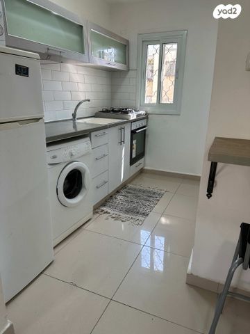 אלעזר בן יאיר 