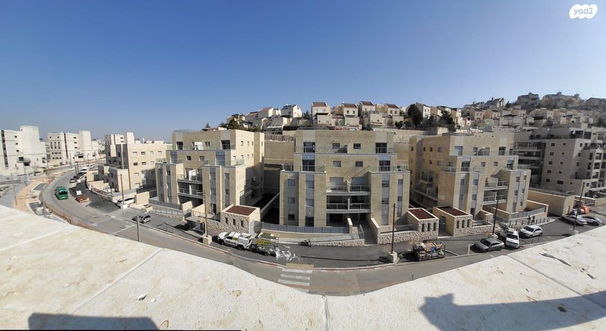 אבנר חי שאקי 