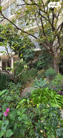 דירה, הוברמן, הצפון הישן - דרום, תל אביב יפו