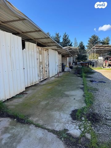 משק חקלאי/ נחלה, אמת המים, ציפורי