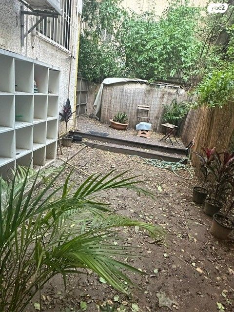 שמעון התרסי 