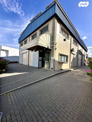 שדרות הפלטינה 