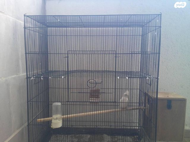 תמונת מודעה - חיות מחמד