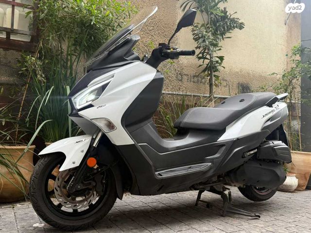 סאן יאנג ג'וי-מקס Z-250