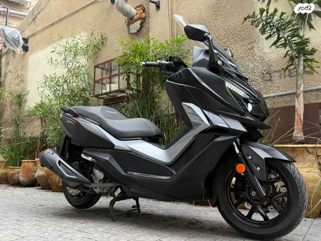 סאן יאנג קרוזים 300 אלפא