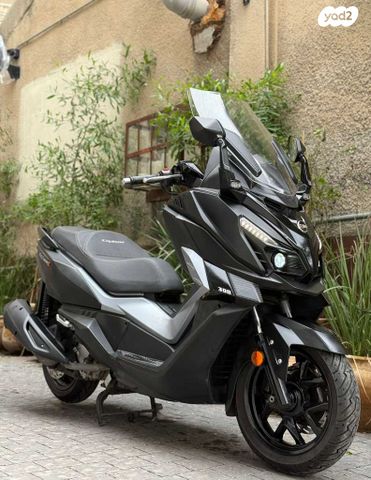 סאן יאנג קרוזים 300 אלפא