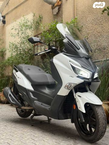 סאן יאנג ג'וי-מקס Z-250