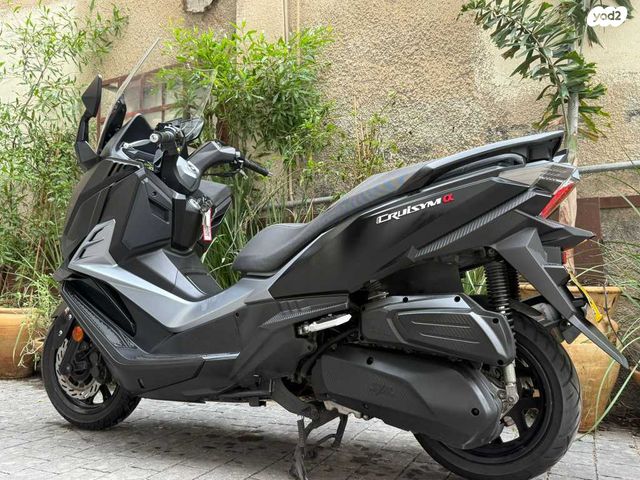 סאן יאנג קרוזים 300 אלפא