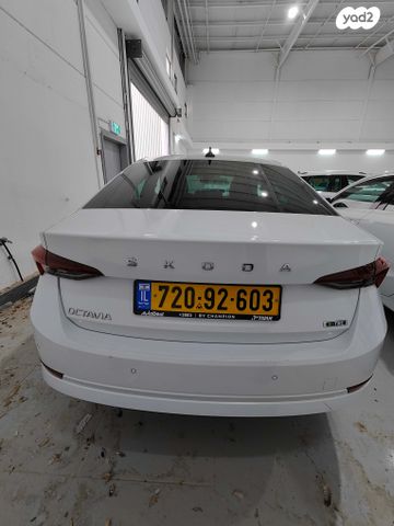 סקודה אוקטביה 