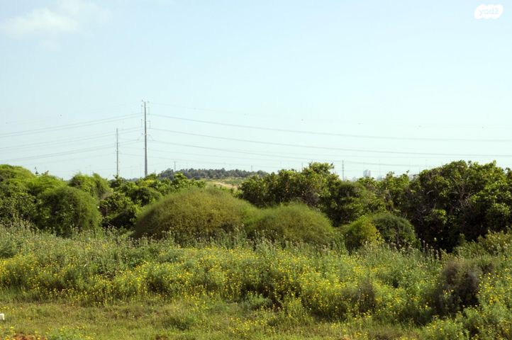 דרך מנחם בגין 1