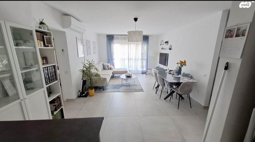 רועי קליין 17