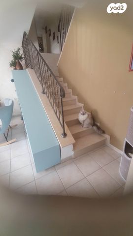 דירה, האורן 65, שאר העיר, רמת ישי