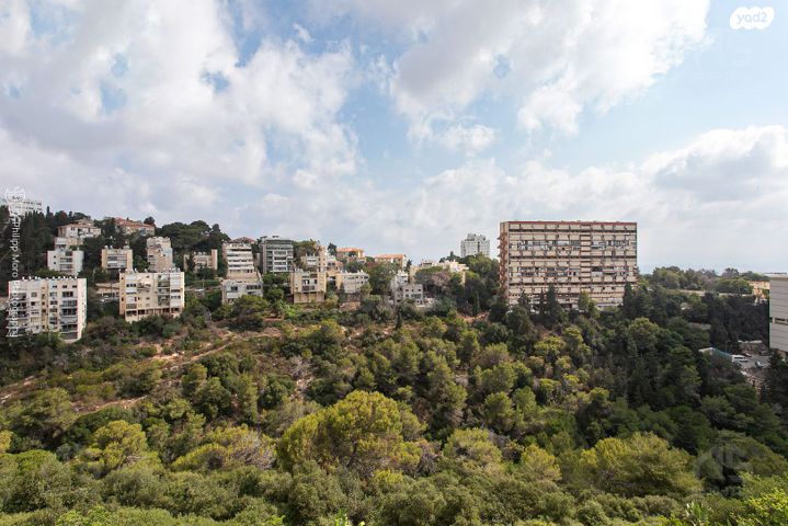 דירה, נעמ"ת 32, נעמ"ת, חיפה