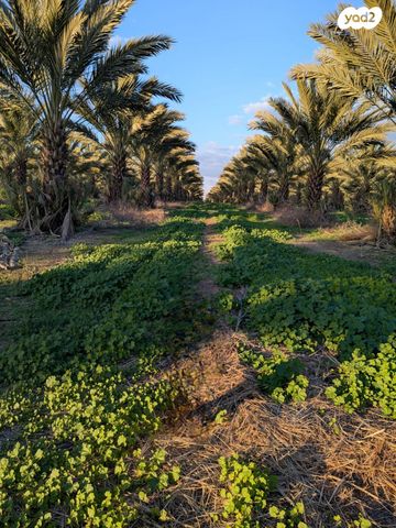 מגרשים, נווה איתן