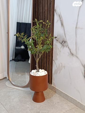 טריפלקס, רבקה אמנו 12, אחיסמך, לוד