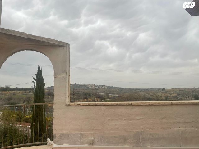 נווה דקלים 2