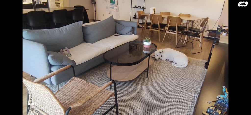 דבורה עומר 4